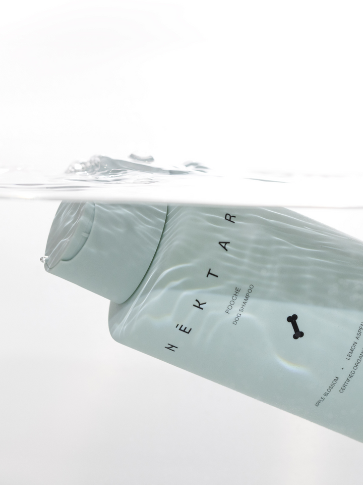 Pooché Shampoo