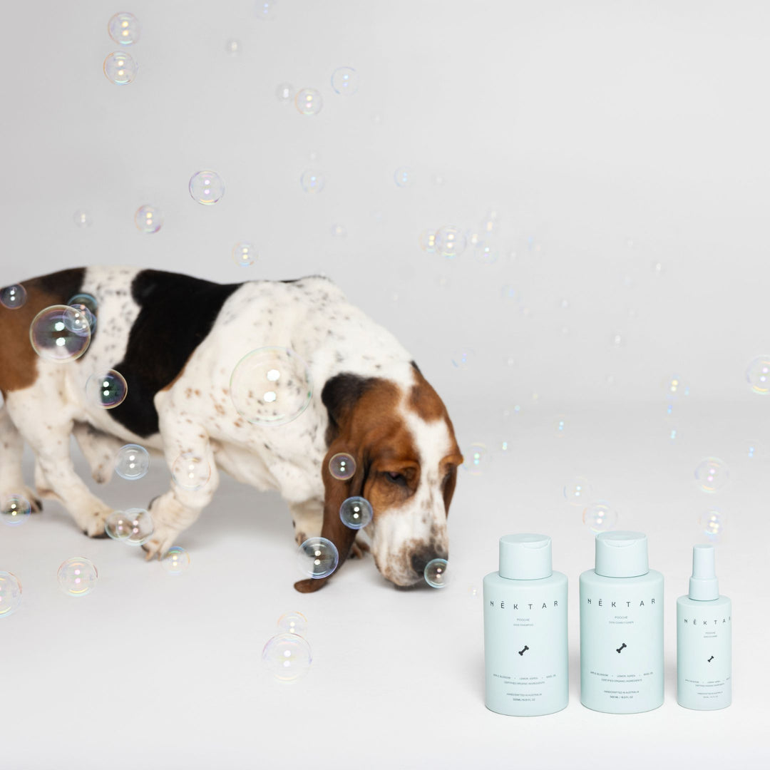 The Best Dog Cologne Scents to Keep Your Pet Smelling Great All Day